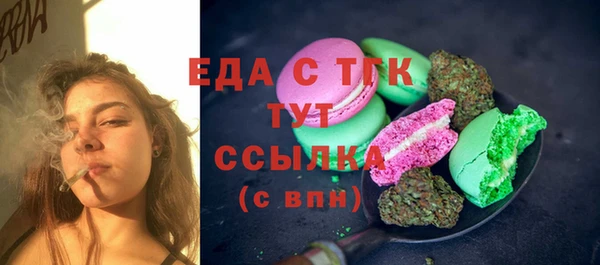 первитин Михайлов