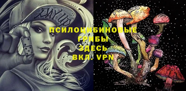 стаф Михайловка