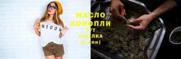 spice Бородино