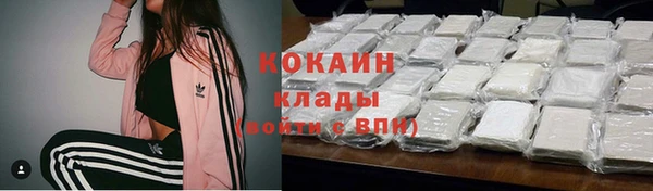 мдпв Михайловск