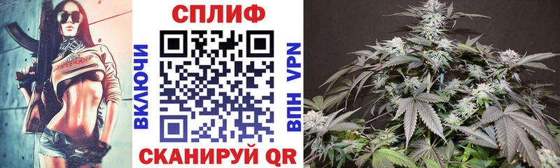 Шишки марихуана THC 21% Осташков
